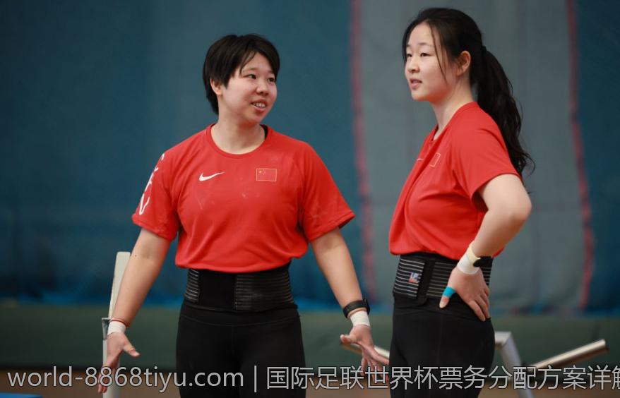 国际足联世界杯票务分配方案详解